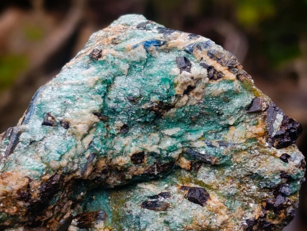 Natural Kyanite Crystals in Fuchsite Cobbed Specimens x 6 From Zimbabwe - Toprock Gemstones and Minerals 