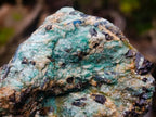 Natural Kyanite Crystals in Fuchsite Cobbed Specimens x 6 From Zimbabwe - Toprock Gemstones and Minerals 