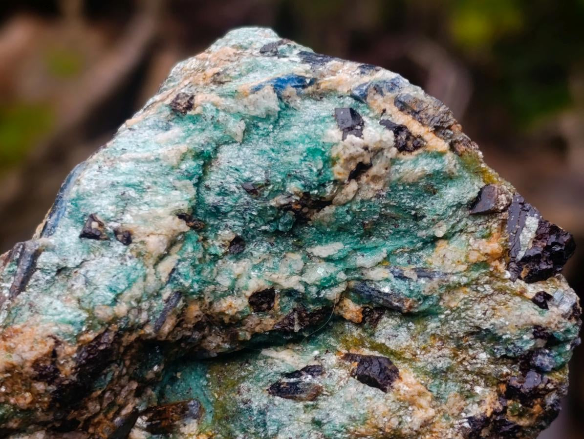Natural Kyanite Crystals in Fuchsite Cobbed Specimens x 6 From Zimbabwe - Toprock Gemstones and Minerals 