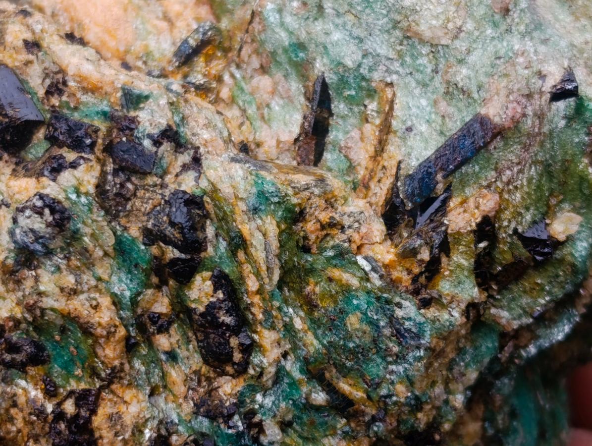 Natural Kyanite Crystals in Fuchsite Cobbed Specimens x 6 From Zimbabwe - Toprock Gemstones and Minerals 