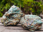 Natural Kyanite Crystals in Fuchsite Cobbed Specimens x 6 From Zimbabwe - Toprock Gemstones and Minerals 