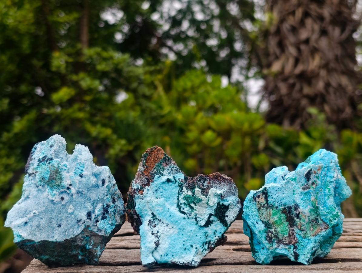 Natural Drusy Coated Chrysocolla Specimens with Malachite and Heterogenite x 12 From Lupoto Mine, Congo - Toprock Gemstones and Minerals 