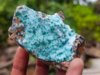 Natural Drusy Coated Chrysocolla Specimens with Malachite and Heterogenite x 12 From Lupoto Mine, Congo - Toprock Gemstones and Minerals 