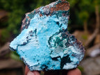 Natural Drusy Coated Chrysocolla Specimens with Malachite and Heterogenite x 12 From Lupoto Mine, Congo - Toprock Gemstones and Minerals 