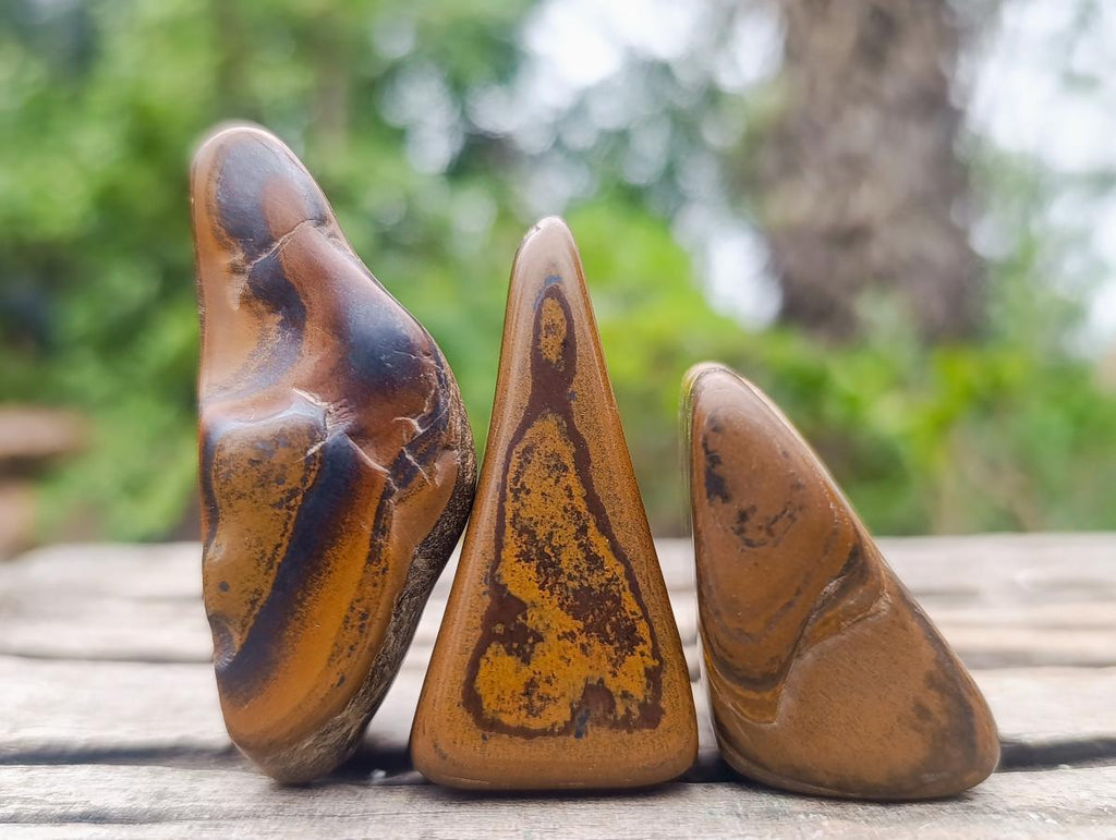 Polished Golden Tigers Eye Tumbled Slabs and Slices x 35 From Prieska, South Africa - Toprock Gemstones and Minerals 