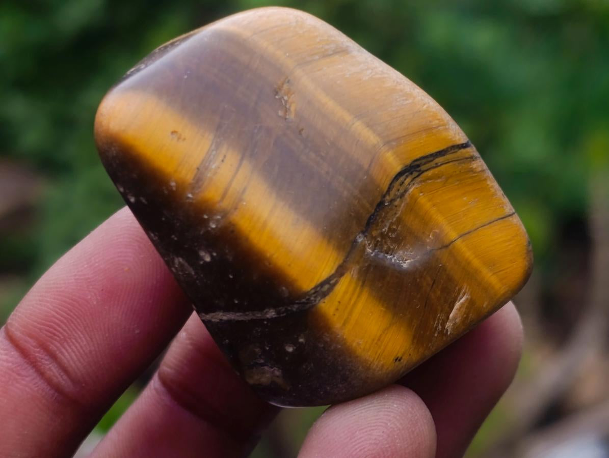 Polished Golden Tigers Eye Tumbled Slabs and Slices x 35 From Prieska, South Africa - Toprock Gemstones and Minerals 