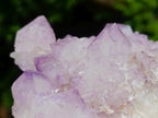 Natural Sunburst Spirit Amethyst Clusters x 3 From Boekenhouthoek, South Africa - Toprock Gemstones and Minerals 