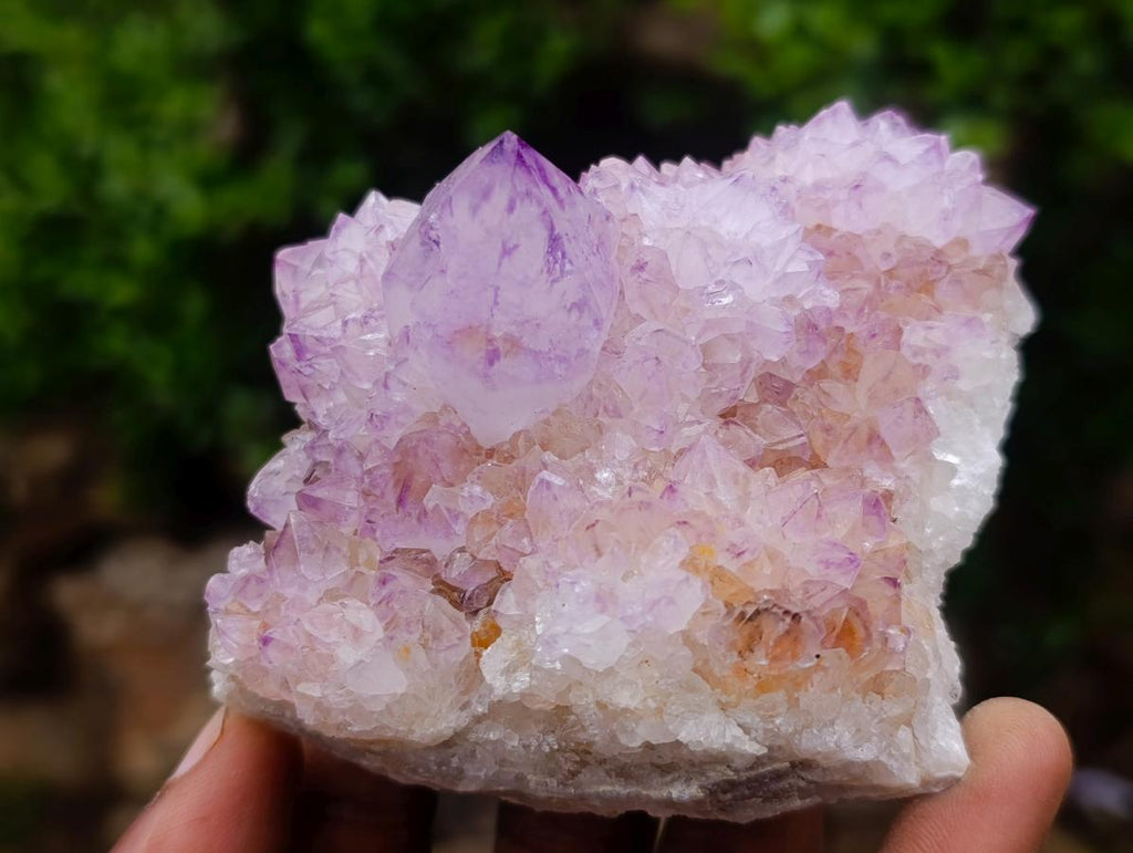 Natural Sunburst Spirit Amethyst Clusters x 3 From Boekenhouthoek, South Africa - Toprock Gemstones and Minerals 