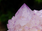 Natural Sunburst Spirit Amethyst Clusters x 3 From Boekenhouthoek, South Africa - Toprock Gemstones and Minerals 