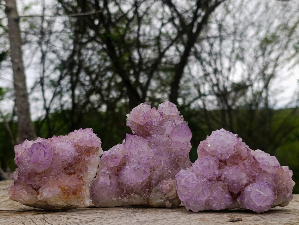 Natural Sunburst Spirit Amethyst Clusters x 3 From Boekenhouthoek, South Africa - Toprock Gemstones and Minerals 