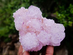 Natural Sunburst Spirit Amethyst Clusters x 3 From Boekenhouthoek, South Africa - Toprock Gemstones and Minerals 