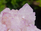 Natural Sunburst Spirit Amethyst Clusters x 3 From Boekenhouthoek, South Africa - Toprock Gemstones and Minerals 