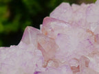 Natural Sunburst Spirit Amethyst Clusters x 3 From Boekenhouthoek, South Africa - Toprock Gemstones and Minerals 