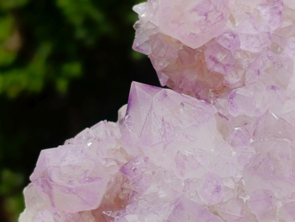 Natural Sunburst Spirit Amethyst Clusters x 3 From Boekenhouthoek, South Africa - Toprock Gemstones and Minerals 