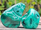 Polished Flower Banded Malachite Free Forms x 12 From Congo - Toprock Gemstones and Minerals 