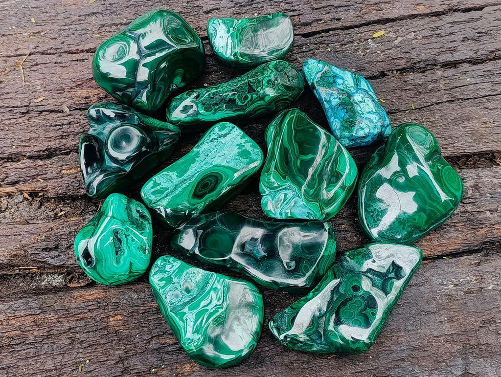 Polished Flower Banded Malachite Free Forms x 12 From Congo - Toprock Gemstones and Minerals 