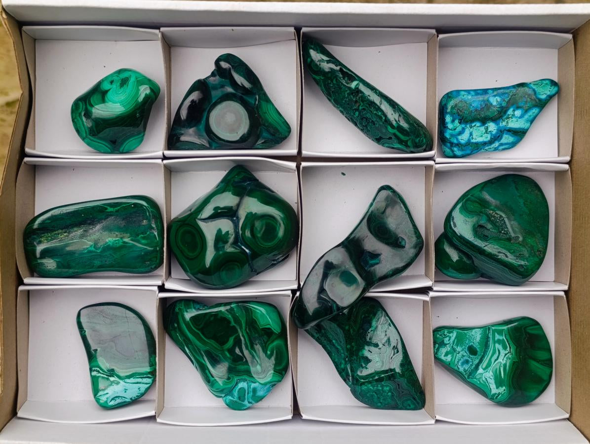 Polished Flower Banded Malachite Free Forms x 12 From Congo - Toprock Gemstones and Minerals 