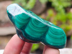 Polished Flower Banded Malachite Free Forms x 12 From Congo - Toprock Gemstones and Minerals 