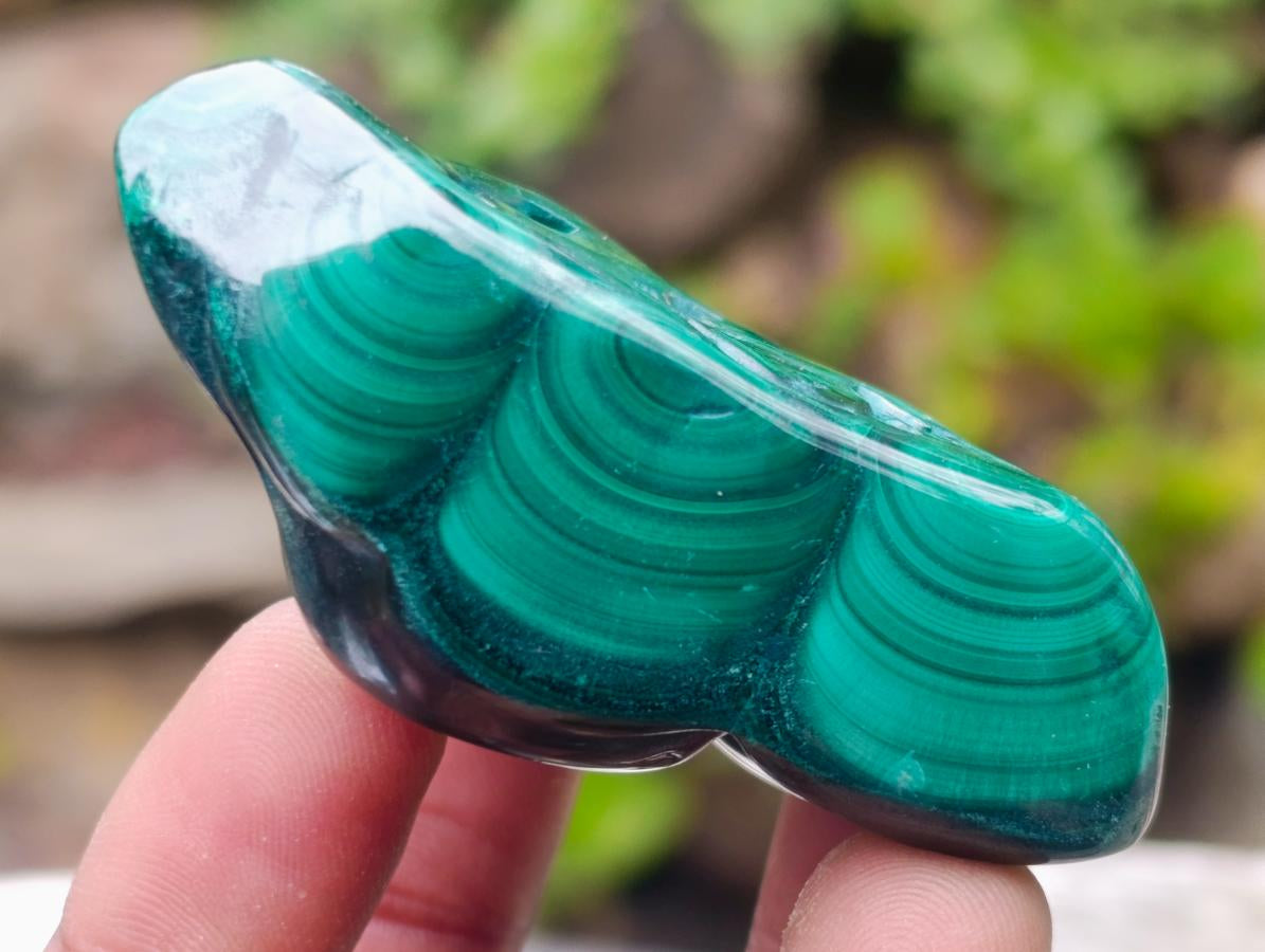 Polished Flower Banded Malachite Free Forms x 12 From Congo - Toprock Gemstones and Minerals 