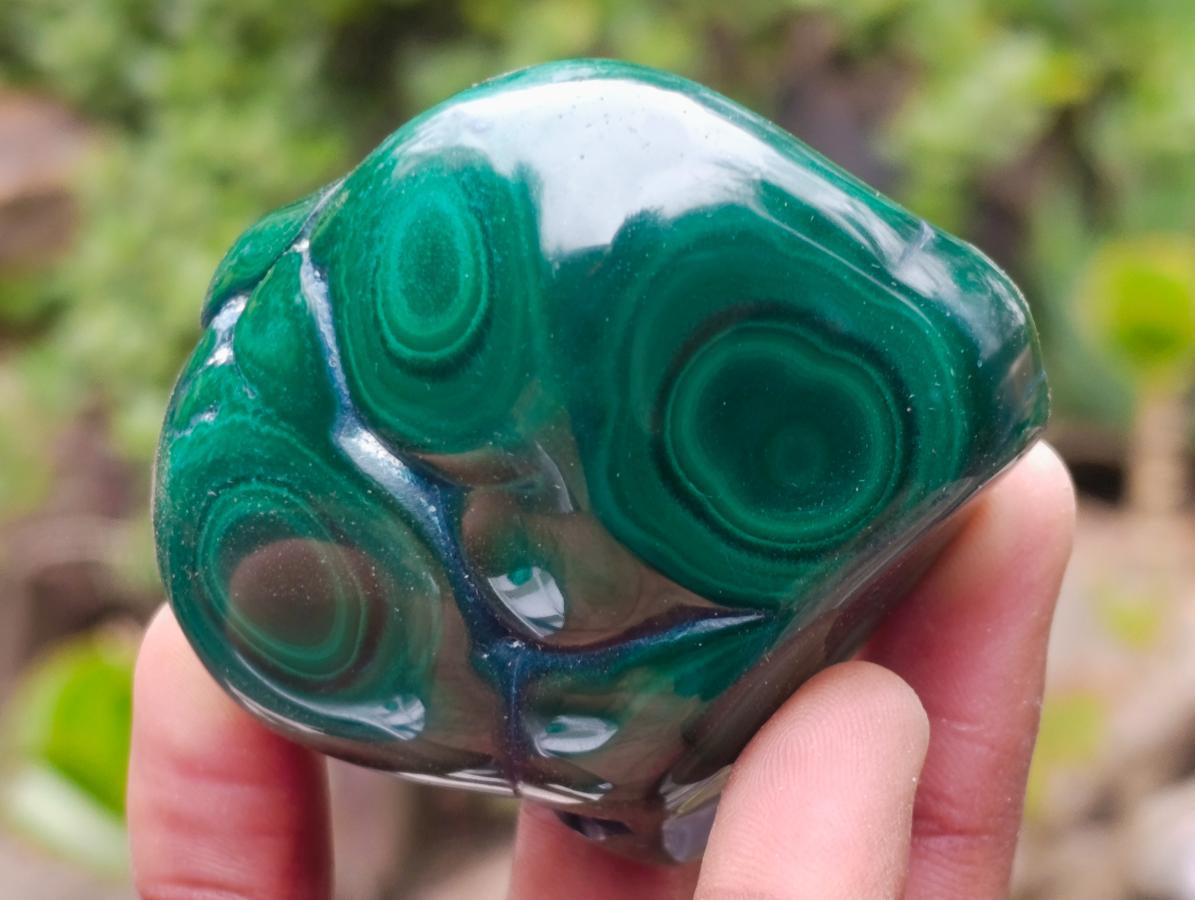 Polished Flower Banded Malachite Free Forms x 12 From Congo - Toprock Gemstones and Minerals 