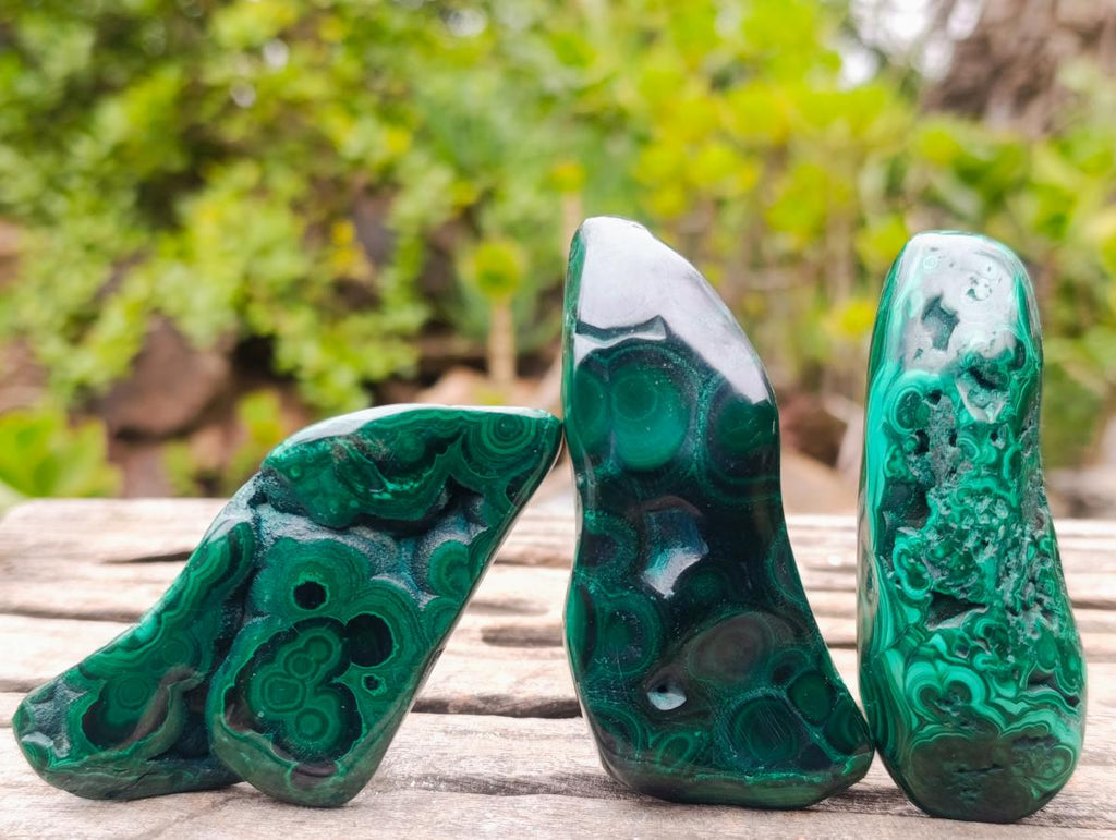 Polished Flower Banded Malachite Free Forms x 12 From Congo - Toprock Gemstones and Minerals 