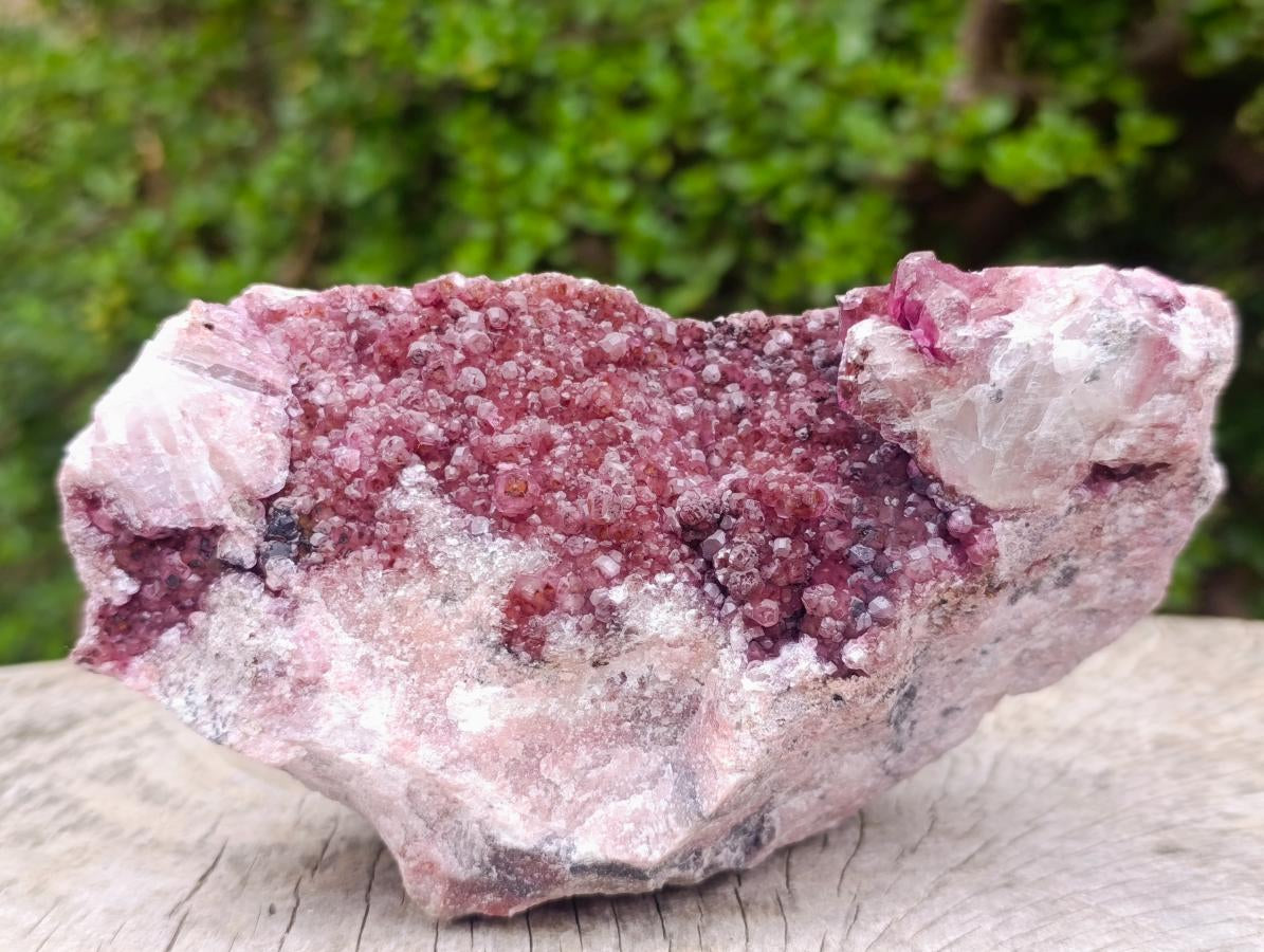 Natural Large Cabinet Size Raspberry Spherocobaltite Specimen x 1 From Mashamba West Mine, Congo - Toprock Gemstones and Minerals 