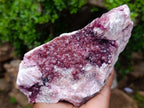Natural Large Cabinet Size Raspberry Spherocobaltite Specimen x 1 From Mashamba West Mine, Congo - Toprock Gemstones and Minerals 