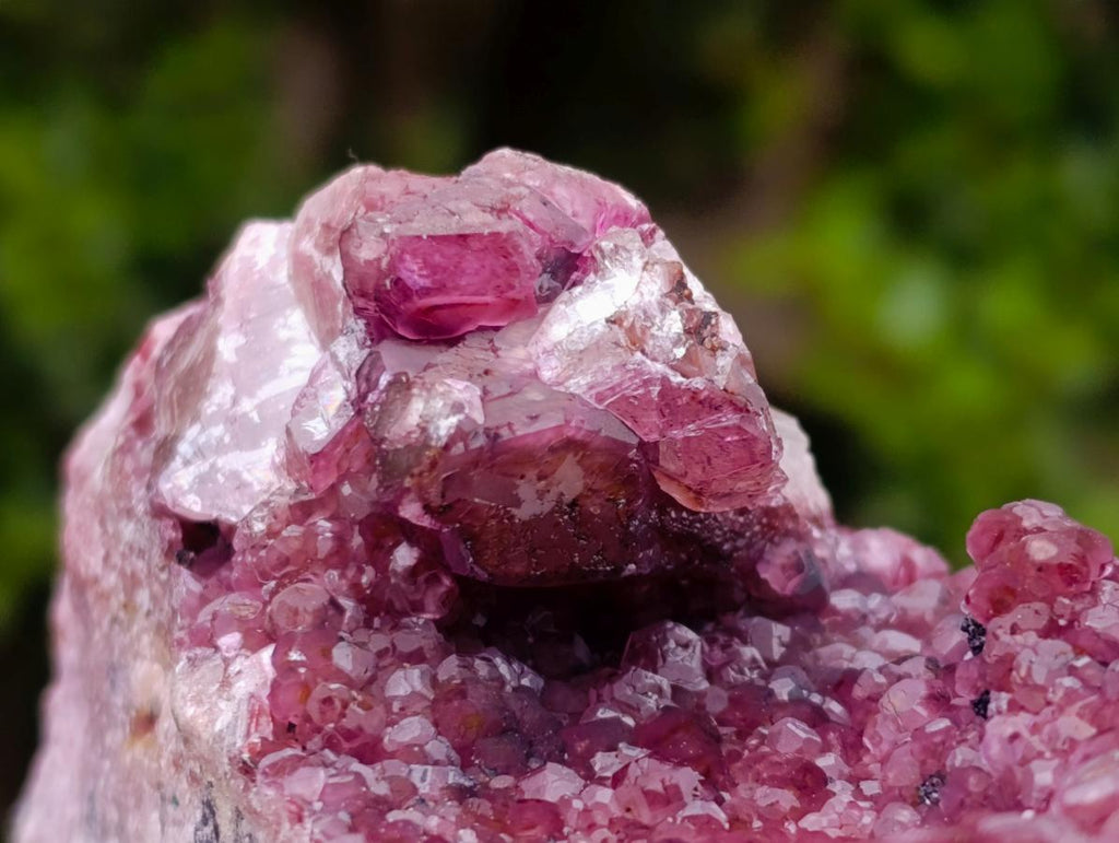 Natural Large Cabinet Size Raspberry Spherocobaltite Specimen x 1 From Mashamba West Mine, Congo - Toprock Gemstones and Minerals 