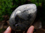 Polished Basalt Pharaoh Stone Free Forms x 4 From Iron Duke Mine, Zimbabwe - Toprock Gemstones and Minerals 