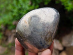 Polished Basalt Pharaoh Stone Free Forms x 4 From Iron Duke Mine, Zimbabwe - Toprock Gemstones and Minerals 