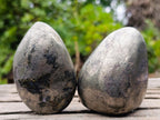 Polished Basalt Pharaoh Stone Free Forms x 4 From Iron Duke Mine, Zimbabwe - Toprock Gemstones and Minerals 