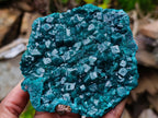 Natural Large Dioptase Specimens on Dolomite Matrix x 2 From Tantara Mine, Congo - Toprock Gemstones and Minerals 