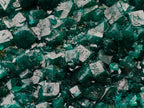 Natural Large Dioptase Specimens on Dolomite Matrix x 2 From Tantara Mine, Congo - Toprock Gemstones and Minerals 