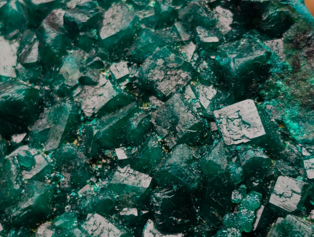 Natural Large Dioptase Specimens on Dolomite Matrix x 2 From Tantara Mine, Congo - Toprock Gemstones and Minerals 