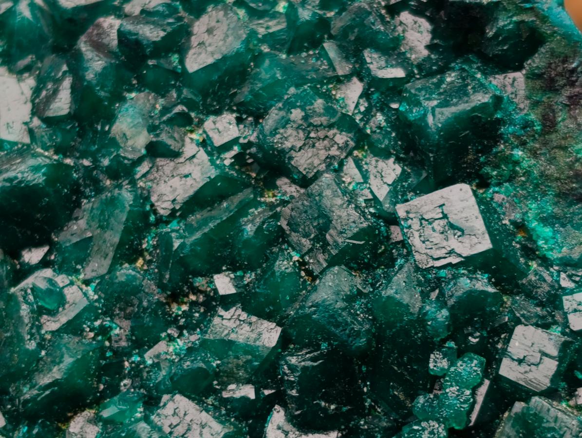 Natural Large Dioptase Specimens on Dolomite Matrix x 2 From Tantara Mine, Congo - Toprock Gemstones and Minerals 