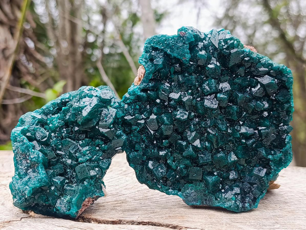 Natural Large Dioptase Specimens on Dolomite Matrix x 2 From Tantara Mine, Congo - Toprock Gemstones and Minerals 