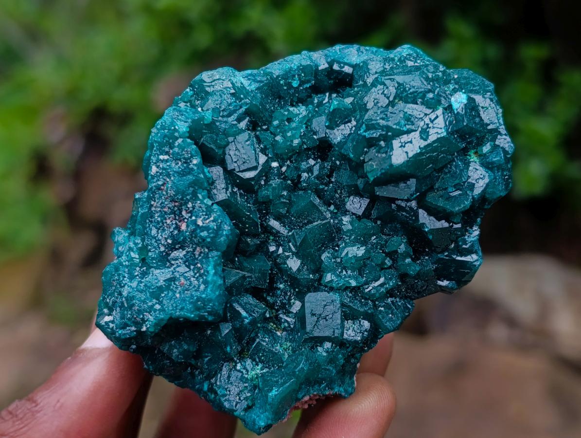 Natural Large Dioptase Specimens on Dolomite Matrix x 2 From Tantara Mine, Congo - Toprock Gemstones and Minerals 