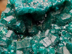 Natural Large Dioptase Specimens on Dolomite Matrix x 2 From Tantara Mine, Congo - Toprock Gemstones and Minerals 