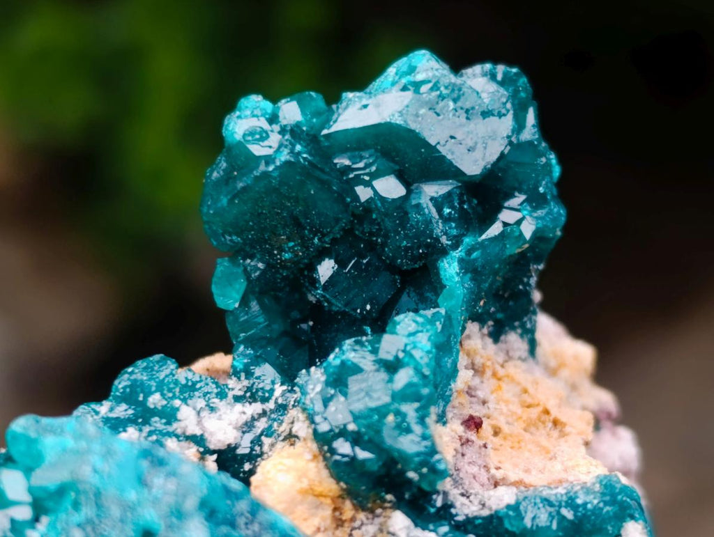 Natural Large Dioptase Specimens on Dolomite Matrix x 2 From Tantara Mine, Congo - Toprock Gemstones and Minerals 