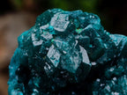 Natural Large Dioptase Specimens on Dolomite Matrix x 2 From Tantara Mine, Congo - Toprock Gemstones and Minerals 