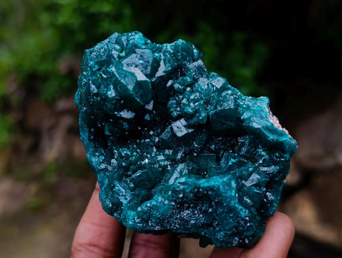 Natural Large Dioptase Specimens on Dolomite Matrix x 2 From Tantara Mine, Congo - Toprock Gemstones and Minerals 