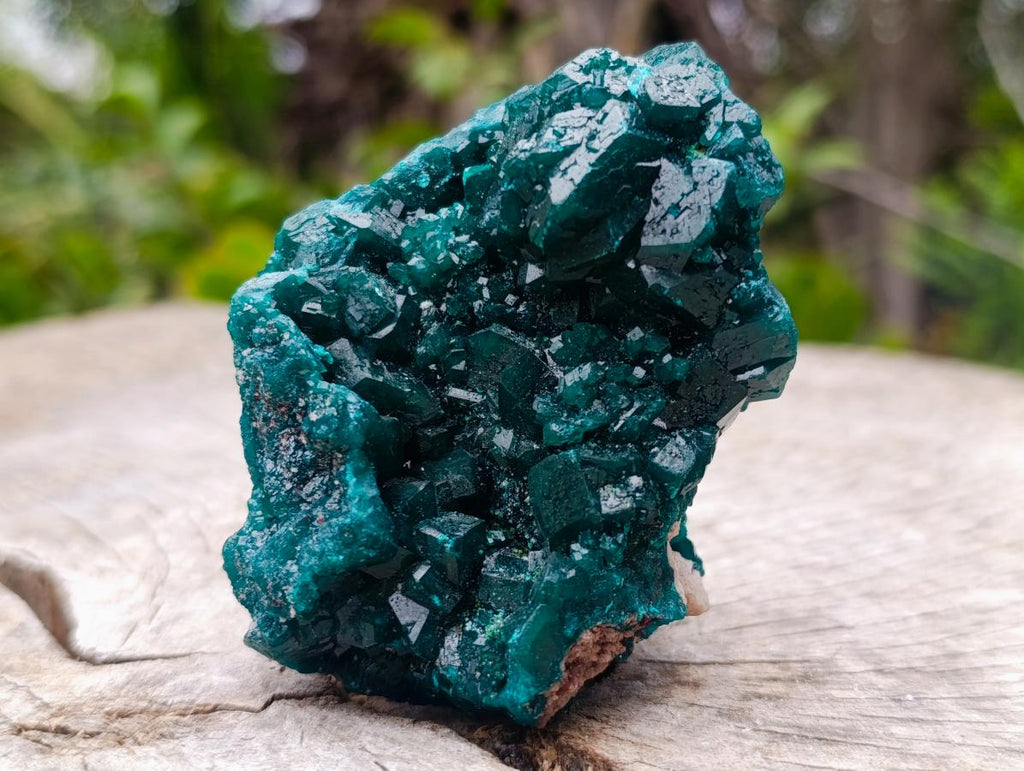 Natural Large Dioptase Specimens on Dolomite Matrix x 2 From Tantara Mine, Congo - Toprock Gemstones and Minerals 