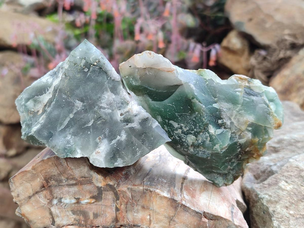 Natural Swazi Jade Cobbed Specimens x 12 From Swaziland - Toprock Gemstones and Minerals 