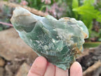 Natural Swazi Jade Cobbed Specimens x 12 From Swaziland - Toprock Gemstones and Minerals 