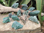 Natural Swazi Jade Cobbed Specimens x 12 From Swaziland - Toprock Gemstones and Minerals 