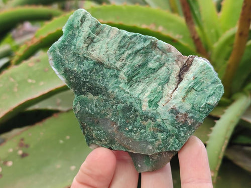 Natural Swazi Jade Cobbed Specimens x 12 From Swaziland - Toprock Gemstones and Minerals 