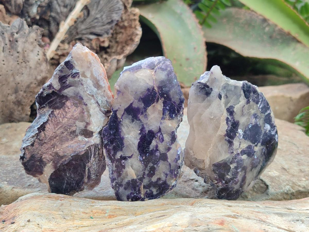 Polished One Side Silver Leaf Lepidolite Slices x 12 From Zimbabwe - Toprock Gemstones and Minerals 