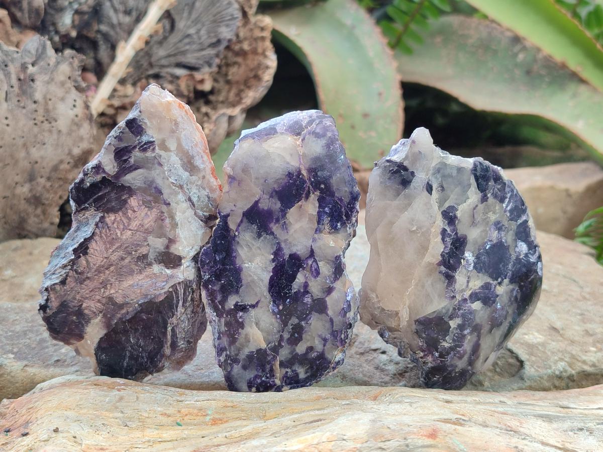 Polished One Side Silver Leaf Lepidolite Slices x 12 From Zimbabwe - Toprock Gemstones and Minerals 