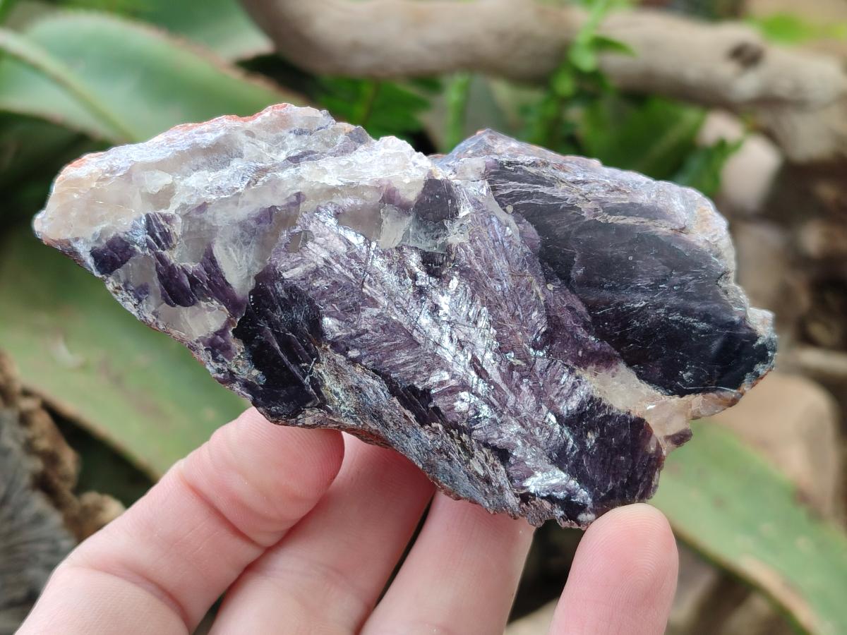 Polished One Side Silver Leaf Lepidolite Slices x 12 From Zimbabwe - Toprock Gemstones and Minerals 