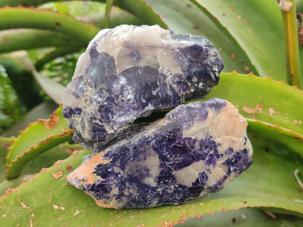 Polished One Side Silver Leaf Lepidolite Slices x 12 From Zimbabwe - Toprock Gemstones and Minerals 